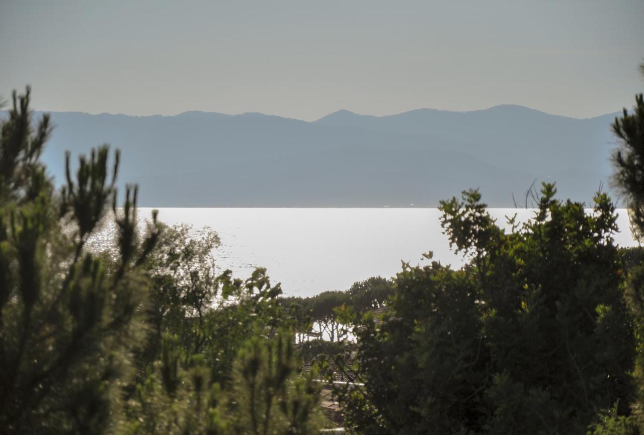 Sahil Butik Otel Çeşme المظهر الخارجي الصورة